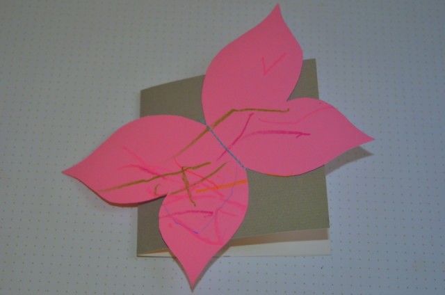 Tarjetas mariposa